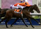 Bear Tough Guy Claws Out Grey Stakes Victory Bear Tough Guy Claws Out Grey Stakes Victory