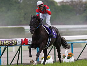 Beat Black Scores Major Upset in Tenno Sho Beat Black Scores Major Upset in Tenno Sho
