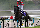 Beat Black Scores Major Upset in Tenno Sho Beat Black Scores Major Upset in Tenno Sho