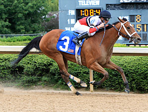 Calhoun Trio Heads Winning Colors Field Calhoun Trio Heads Winning Colors Field