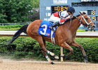 Calhoun Trio Heads Winning Colors Field Calhoun Trio Heads Winning Colors Field