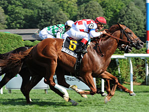 Beau Choix Retired, Now a Stallion Prospect Beau Choix Retired, Now a Stallion Prospect