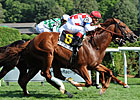 Beau Choix Retired, Now a Stallion Prospect Beau Choix Retired, Now a Stallion Prospect
