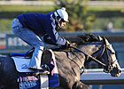 McPeek, Baffert Showdown at Hollywood Park McPeek, Baffert Showdown at Hollywood Park