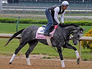 Baker's Dozen Entered For Regret Stakes