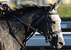 Beautician Drills Four Furlongs in :47