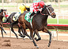Beer Meister Brews Big Upset at Turf Paradise Beer Meister Brews Big Upset at Turf Paradise