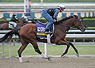 Baffert Horses, Beholder Top Oct. 28 Works Baffert Horses, Beholder Top Oct. 28 Works