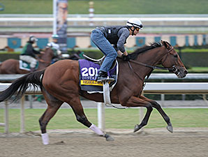 Stellar Team Behind Beholder's Success Stellar Team Behind Beholder's Success