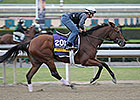Stellar Team Behind Beholder's Success Stellar Team Behind Beholder's Success