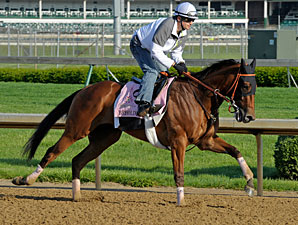 Spendthrift Hopes for Big Oaks, Derby Weekend Spendthrift Hopes for Big Oaks, Derby Weekend