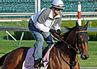 Beholder Holding Her Own for Kentucky Oaks