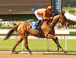 Champion Filly Beholder Coasts in 2014 Debut Champion Filly Beholder Coasts in 2014 Debut