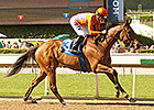 Champion Filly Beholder Coasts in 2014 Debut Champion Filly Beholder Coasts in 2014 Debut
