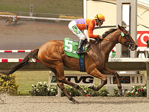 Beholder All Business in Torrey Pines Tuneup Beholder All Business in Torrey Pines Tuneup