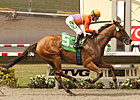 Beholder All Business in Torrey Pines Tuneup Beholder All Business in Torrey Pines Tuneup