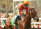 Beholder, Joyful Victory Head Zenyatta Lineup Beholder, Joyful Victory Head Zenyatta Lineup