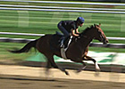 Beholder Breezes at Belmont Park June 2, 2014 Beholder Breezes at Belmont Park June 2, 2014