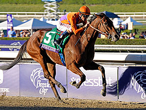 Beholder Trumps Delta, Princess in Distaff Beholder Trumps Delta, Princess in Distaff