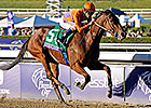 Champion Beholder to Fasig-Tipton November Champion Beholder to Fasig-Tipton November