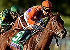 Champs Beholder, She's a Tiger Post Workouts Champs Beholder, She's a Tiger Post Workouts