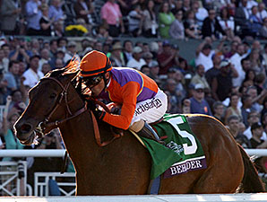 3-Year-Old Filly Division Balanced in 2013 3-Year-Old Filly Division Balanced in 2013
