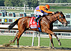 Beholder Tries to Make Amends in Las Virgenes Beholder Tries to Make Amends in Las Virgenes