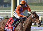 Beholder Champion 2-Year-Old Filly Beholder Champion 2-Year-Old Filly
