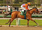Champ Beholder Back in Form for 'Virgenes Win