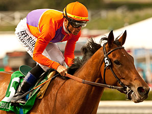 Champion Beholder Tops 134 Ashland Nominees Champion Beholder Tops 134 Ashland Nominees