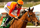 Champion Beholder Tops 134 Ashland Nominees Champion Beholder Tops 134 Ashland Nominees