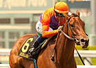 Featured Horse Profile: Beholder Featured Horse Profile: Beholder
