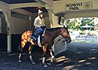 Beholder Schools in the Paddock Beholder Schools in the Paddock