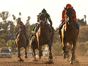 Beholder Dominates Foes in Zenyatta Stakes Beholder Dominates Foes in Zenyatta Stakes