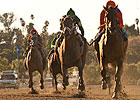 Beholder Dominates Foes in Zenyatta Stakes Beholder Dominates Foes in Zenyatta Stakes