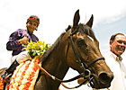 Bel Air Sizzle Back in Senorita Stakes Bel Air Sizzle Back in Senorita Stakes