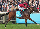 Belardo Among Juvenile Standouts at Newmarket Belardo Among Juvenile Standouts at Newmarket