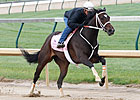 Believe You Can Sizzles at Churchill