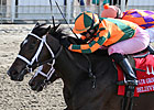 Believe You Can Holds On in Fair Grounds Oaks Believe You Can Holds On in Fair Grounds Oaks
