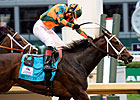 Kentucky Oaks Winner Believe You Can Retired Kentucky Oaks Winner Believe You Can Retired