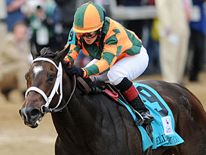 KY Oaks Winner Believe You Can Starts Season KY Oaks Winner Believe You Can Starts Season