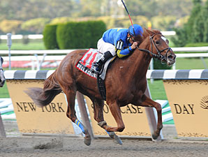 NY Stakes Winner Bellacourt Euthanized NY Stakes Winner Bellacourt Euthanized