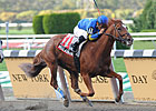 NY Stakes Winner Bellacourt Euthanized NY Stakes Winner Bellacourt Euthanized