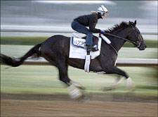 Bellamy Road 5-2 in Advance Wagering Bellamy Road 5-2 in Advance Wagering