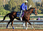 Santa Anita Return for Belle Gallantey Santa Anita Return for Belle Gallantey