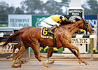 Belle of the Hall Targets Filly & Mare Sprint