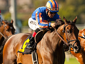 Belle Royale Wins Gamely With Closing Rush Belle Royale Wins Gamely With Closing Rush