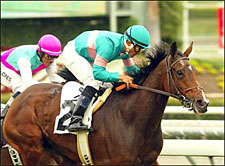 Belleski Nips Intercontinental in Maddy 'Cap Belleski Nips Intercontinental in Maddy 'Cap