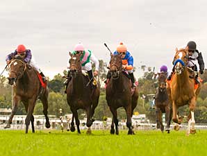 Belmont Cat Scratches Out Santa Ana Win Belmont Cat Scratches Out Santa Ana Win