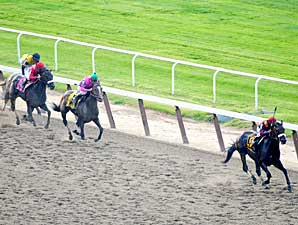 Denis of Cork, Others Exit Belmont Well Denis of Cork, Others Exit Belmont Well
